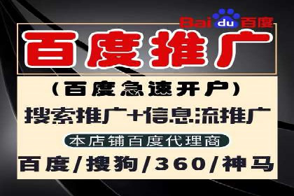 SEM服务助力中小企业案例分析